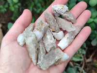 Natural Drusy Quartz Coated Calcite Pseudomorph Crystals x 70 From Lesotho