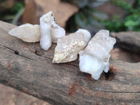 Natural Drusy Quartz Coated Calcite Pseudomorph Crystals x 70 From Lesotho