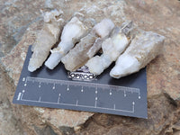 Natural Drusy Quartz Coated Calcite Pseudomorph Crystals x 70 From Lesotho