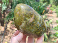 Polished Green Opal Standing Free Forms x 3 From Antsirabe, Madagascar