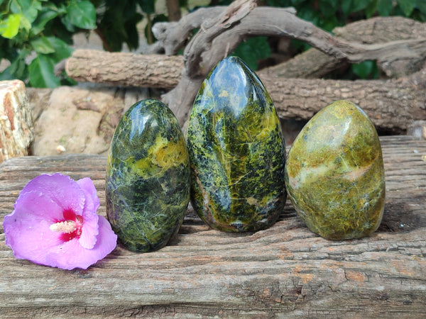 Polished Green Opal Standing Free Forms x 3 From Antsirabe, Madagascar