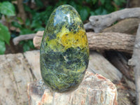 Polished Green Opal Standing Free Forms x 3 From Antsirabe, Madagascar