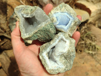 Natural Blue Lace Agate Geode Specimens x 12 From Nsanje, Malawi