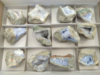 Natural Blue Lace Agate Geode Specimens x 12 From Nsanje, Malawi