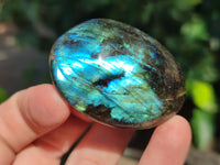 Polished Labradorite Palm Stones x 13 From Tulear, Madagascar