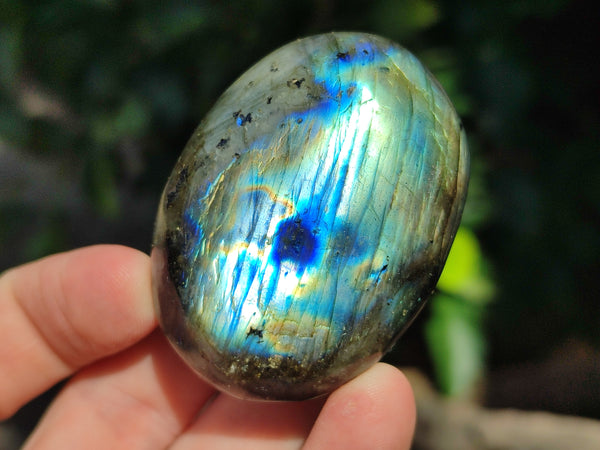 Polished Labradorite Palm Stones x 13 From Tulear, Madagascar