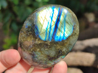 Polished Labradorite Palm Stones x 13 From Tulear, Madagascar