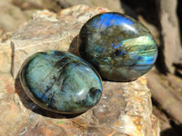 Polished Labradorite Palm Stones x 13 From Tulear, Madagascar