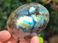 Polished Labradorite Palm Stones x 13 From Tulear, Madagascar