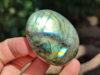 Polished Labradorite Palm Stones x 13 From Tulear, Madagascar