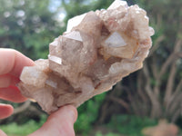 Natural Smokey Phantom Quartz Clusters x 3 From Luena, Congo