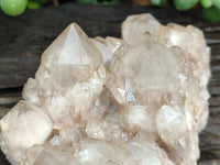 Natural Smokey Phantom Quartz Clusters x 3 From Luena, Congo