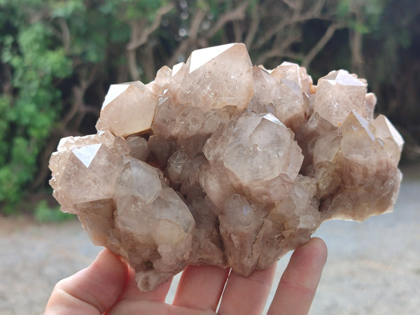 Natural Smokey Phantom Quartz Clusters x 3 From Luena, Congo