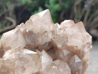 Natural Smokey Phantom Quartz Clusters x 3 From Luena, Congo