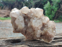 Natural Smokey Phantom Quartz Clusters x 3 From Luena, Congo