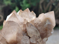 Natural Smokey Phantom Quartz Clusters x 3 From Luena, Congo