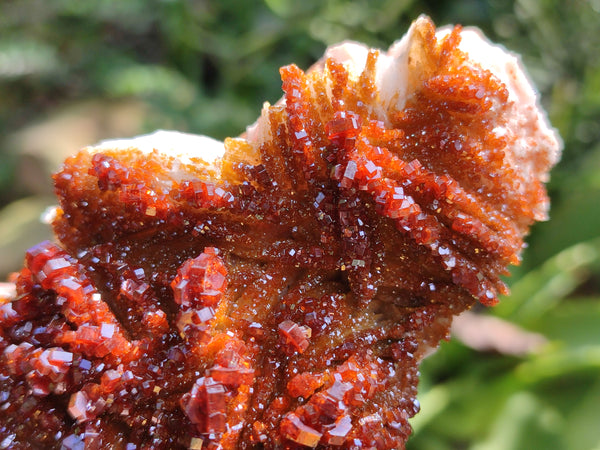 Natural Rare Vanadinite Specimen x 1 From Mibladen, Morocco