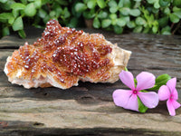 Natural Rare Vanadinite Specimen x 1 From Mibladen, Morocco