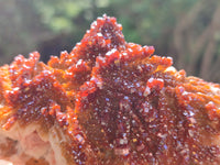 Natural Rare Vanadinite Specimen x 1 From Mibladen, Morocco