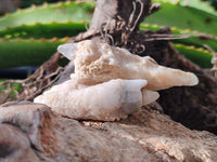 Natural Drusy Quartz Coated Calcite Pseudomorph Crystals x 35 From Lesotho