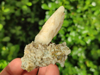 Natural Drusy Quartz Coated Calcite Pseudomorph Crystals x 35 From Lesotho