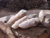 Natural Drusy Quartz Coated Calcite Pseudomorph Crystals x 35 From Lesotho