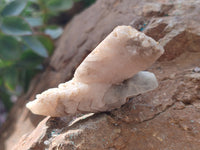 Natural Drusy Quartz Coated Calcite Pseudomorph Crystals x 35 From Lesotho