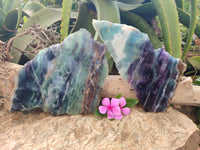 Polished Watermelon Fluorite Slices x 2 From Uis, Namibia