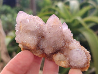 Natural  Amethyst Fairy Spirit Quartz Clusters x 12 From South Africa