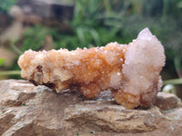 Natural  Amethyst Fairy Spirit Quartz Clusters x 12 From South Africa