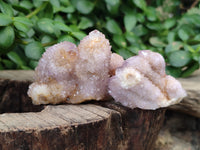 Natural  Amethyst Fairy Spirit Quartz Clusters x 12 From South Africa