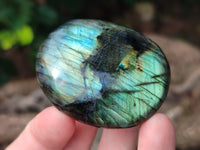 Polished Labradorite Palm Stones x 24 From Tulear, Madagascar