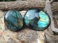 Polished Labradorite Palm Stones x 24 From Tulear, Madagascar