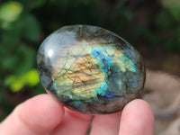 Polished Labradorite Palm Stones x 24 From Tulear, Madagascar