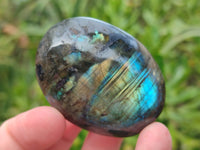 Polished Labradorite Palm Stones x 24 From Tulear, Madagascar