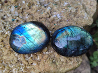 Polished Labradorite Palm Stones x 24 From Tulear, Madagascar