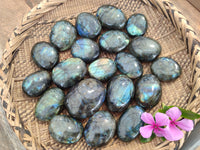 Polished Labradorite Palm Stones x 24 From Tulear, Madagascar