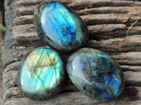 Polished Labradorite Palm Stones x 24 From Tulear, Madagascar