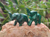 Hand Made Mini Flower Banded Malachite Elephant Carvings x 12 From Congo