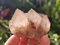 Natural Smokey Phantom Quartz Clusters x 12 From Luena, Congo