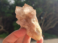 Natural Smokey Phantom Quartz Clusters x 12 From Luena, Congo