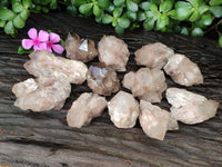 Natural Smokey Phantom Quartz Clusters x 12 From Luena, Congo