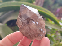 Natural Smokey Phantom Quartz Clusters x 12 From Luena, Congo