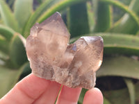 Natural Smokey Phantom Quartz Clusters x 12 From Luena, Congo