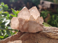 Natural Smokey Phantom Quartz Clusters x 12 From Luena, Congo