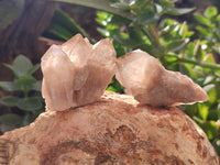 Natural Smokey Phantom Quartz Clusters x 12 From Luena, Congo