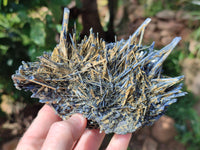 Natural Rare Metallic Stibnite Specimen x 1 From Australia