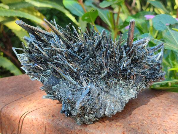 Natural Rare Metallic Stibnite Specimen x 1 From Australia