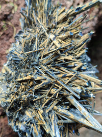 Natural Rare Metallic Stibnite Specimen x 1 From Australia