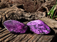 Polished On One Side Purpurite Specimens x 7 From Namibia